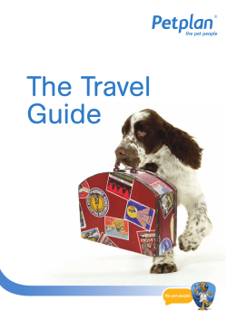 The Travel Guide