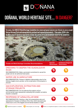 DOÑANA, WORLD HERITAGE SITE… IN DANGER?