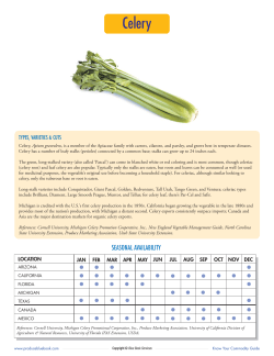 Celery - Produce Blue Book