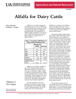 Alfalfa for Dairy Cattle - FSA4000