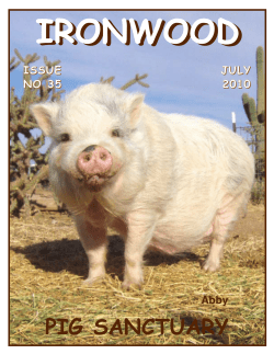 Ironwood Pig Sanctuary