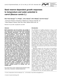 Seed reserve-dependent growth responses to