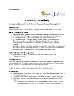 Carbon Cycle Activity