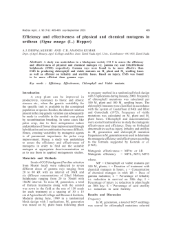 Efficiency and effectiveness of physical and chemical mutagens in