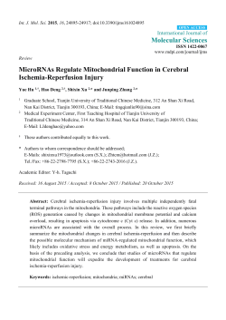 MicroRNAs Regulate Mitochondrial Function in Cerebral Ischemia