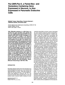 Pax-Q/W/Pax-6, a Paired Box- and Homeobox