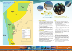 Ningaloo Marine Park Coral Bay