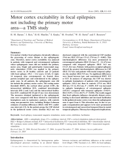 Motor cortex excitability in focal epilepsies not including the primary