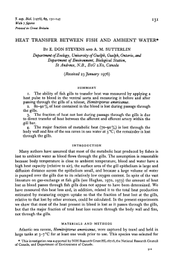 heat transfer between fish and ambient water