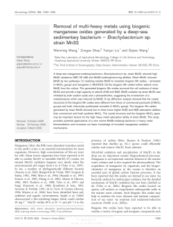 Removal of multi-heavy metals using biogenic manganese oxides