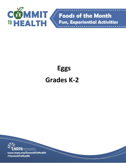 Eggs Grades K-2