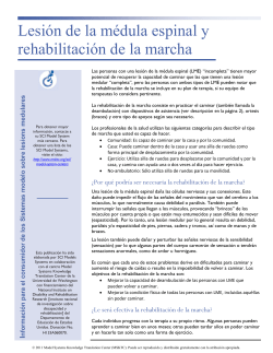 Lesi&oacute;n de la m&eacute;dula espinal y rehabilitaci&oacute;n de la marcha