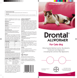 Drontal Cat 6kg - Bayer Animal Health New Zealand