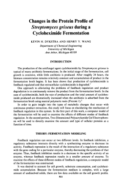 Changes in the Protein Profile of Cycloheximide Fermentation