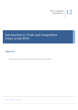 Introduction to Trade and Competition Policy in the