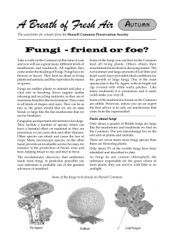 PageMaker 4.0 - AUTUM00.PM4 - Horsell Common Preservation