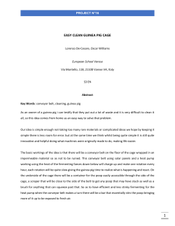 16-Easy clean guinea pig cage