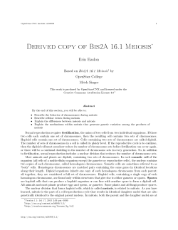 Derived copy of Bis2A 16.1 Meiosis