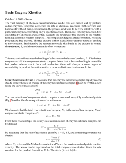Basic Enzyme Kinetics