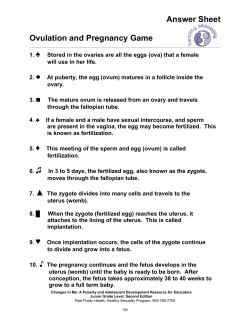 Lesson Three - Ovulation and Pregnancy Game