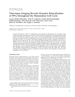 Time-lapse Imaging Reveals Dynamic