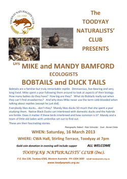 TOODYAY NATURALISTS` CLUB (Inc)