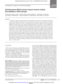 p53-Dependent BRCA1 Nuclear Export Controls Cellular