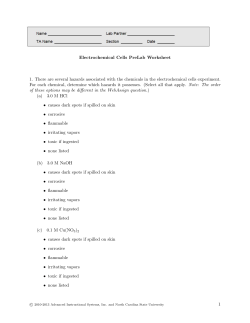 Electrochemical Cells PreLab Worksheet