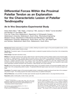 Differential Forces Within the Proximal Patellar Tendon as