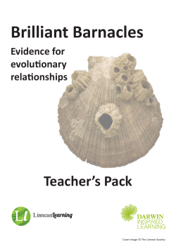Teacher`s Pack
