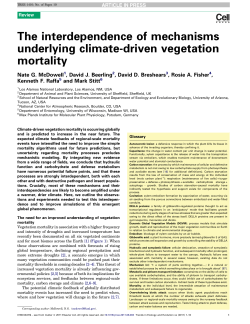 The interdependence of mechanisms underlying climate