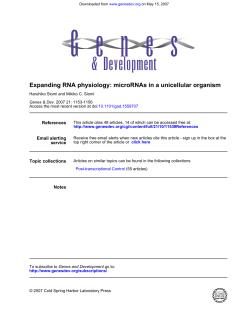 Expanding RNA physiology: microRNAs in a unicellular organism
