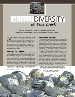 Diversity of Freshwater Mussels in Bear Creek