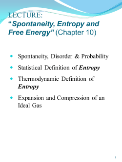 LECTURE: &ldquo;Spontaneity, Entropy and Free Energy&rdquo; (Chapter 10)