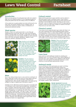 Lawn Weed Control Factsheet