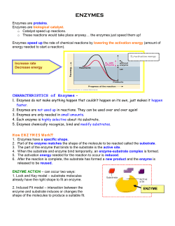 ENZYMES