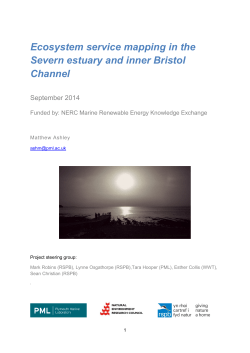 Ecosystem service mapping in the Severn estuary and inner Bristol