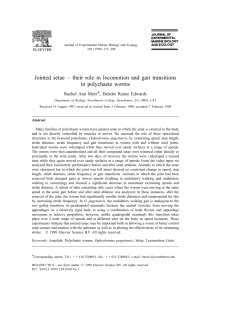 Jointed setae &ndash; their role in locomotion and gait - FORTH-ICS