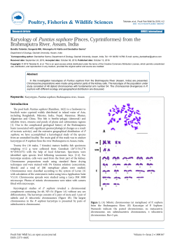 Peer-reviewed Article PDF - e
