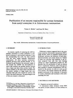 Purification of an enzyme responsible for acetate formation from