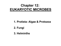 Micro20 Chapter 12 BW