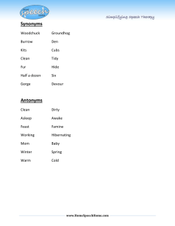Synonyms - Home Speech Home