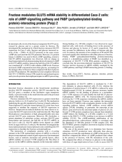Fructose modulates GLUT5 mRNA stability in differentiated Caco