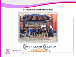 Central Amusement International