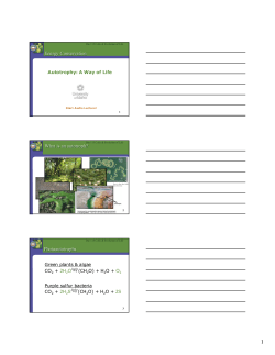 Energy Conservation What is an autotroph? Photoautotrophs