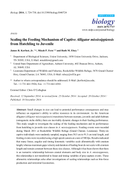 Scaling the Feeding Mechanism of Captive Alligator