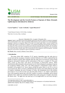 The Development and the Growth Features of Sprouts of