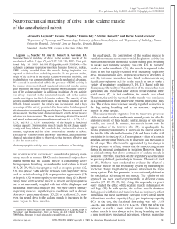 Neuromechanical matching of drive in the scalene muscle of the