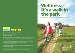 com16167 Walk in the park