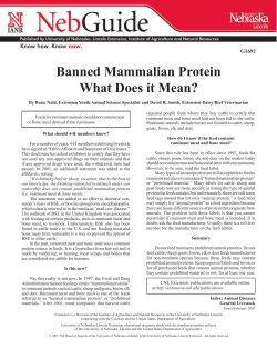 Banned Mammalian Protein What Does it Mean?